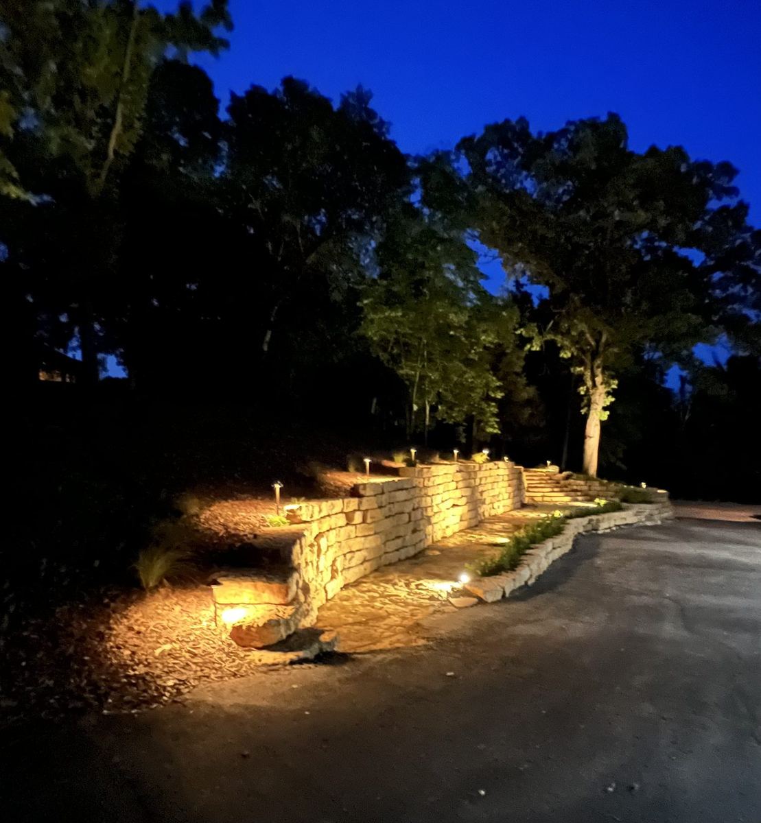 New View Landscaping job photo