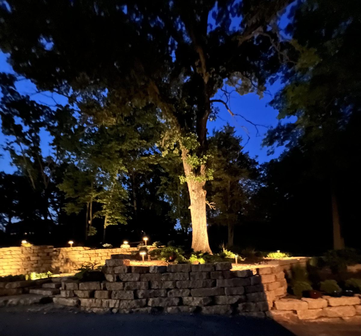 New View Landscaping job photo