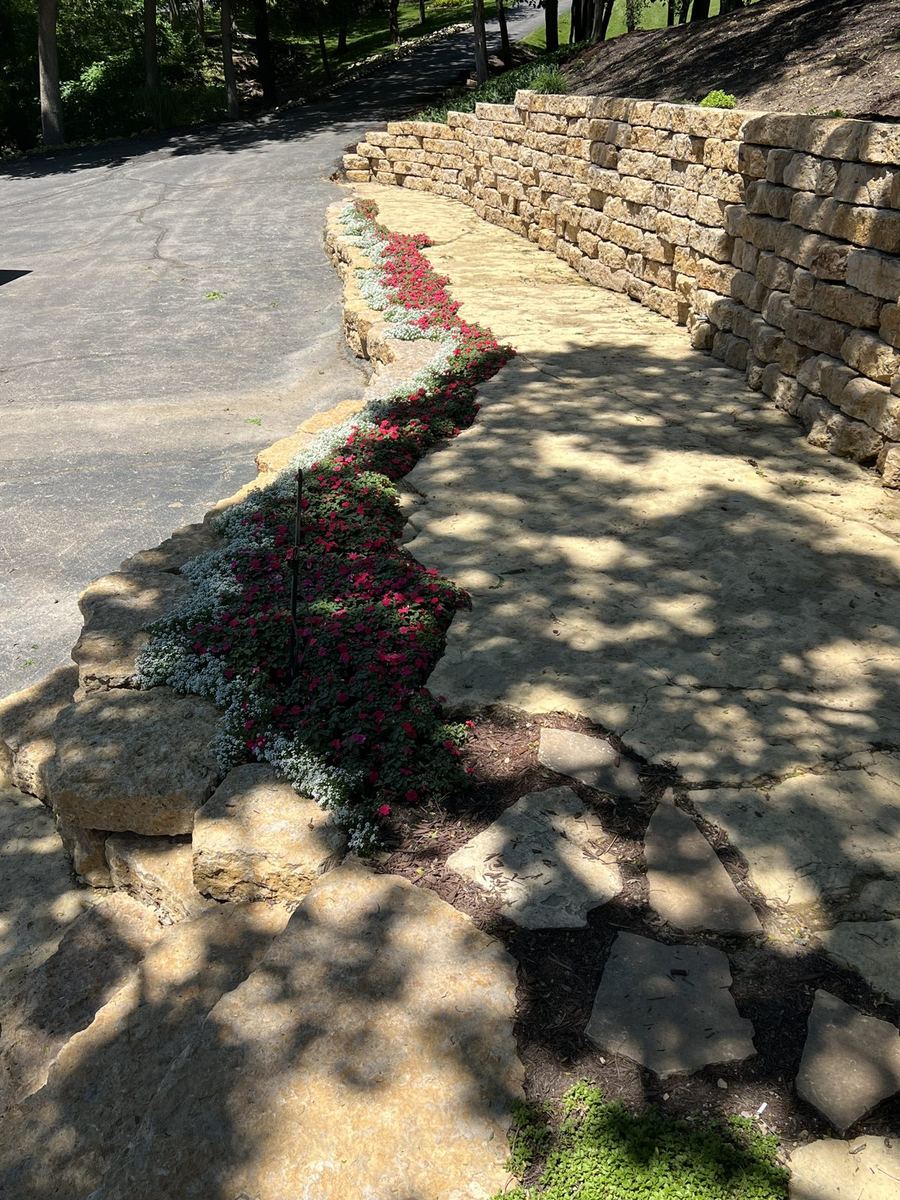 New View Landscaping job photo