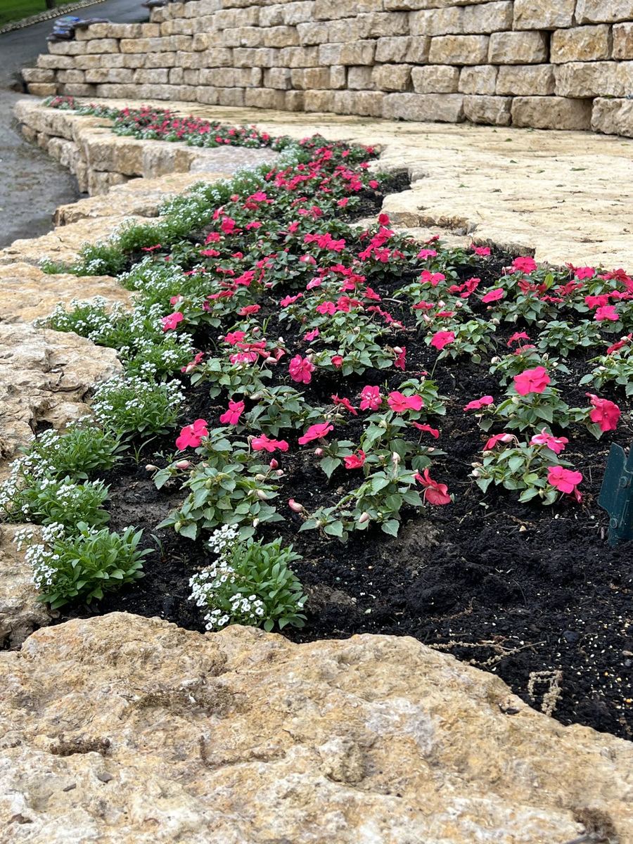 New View Landscaping job photo