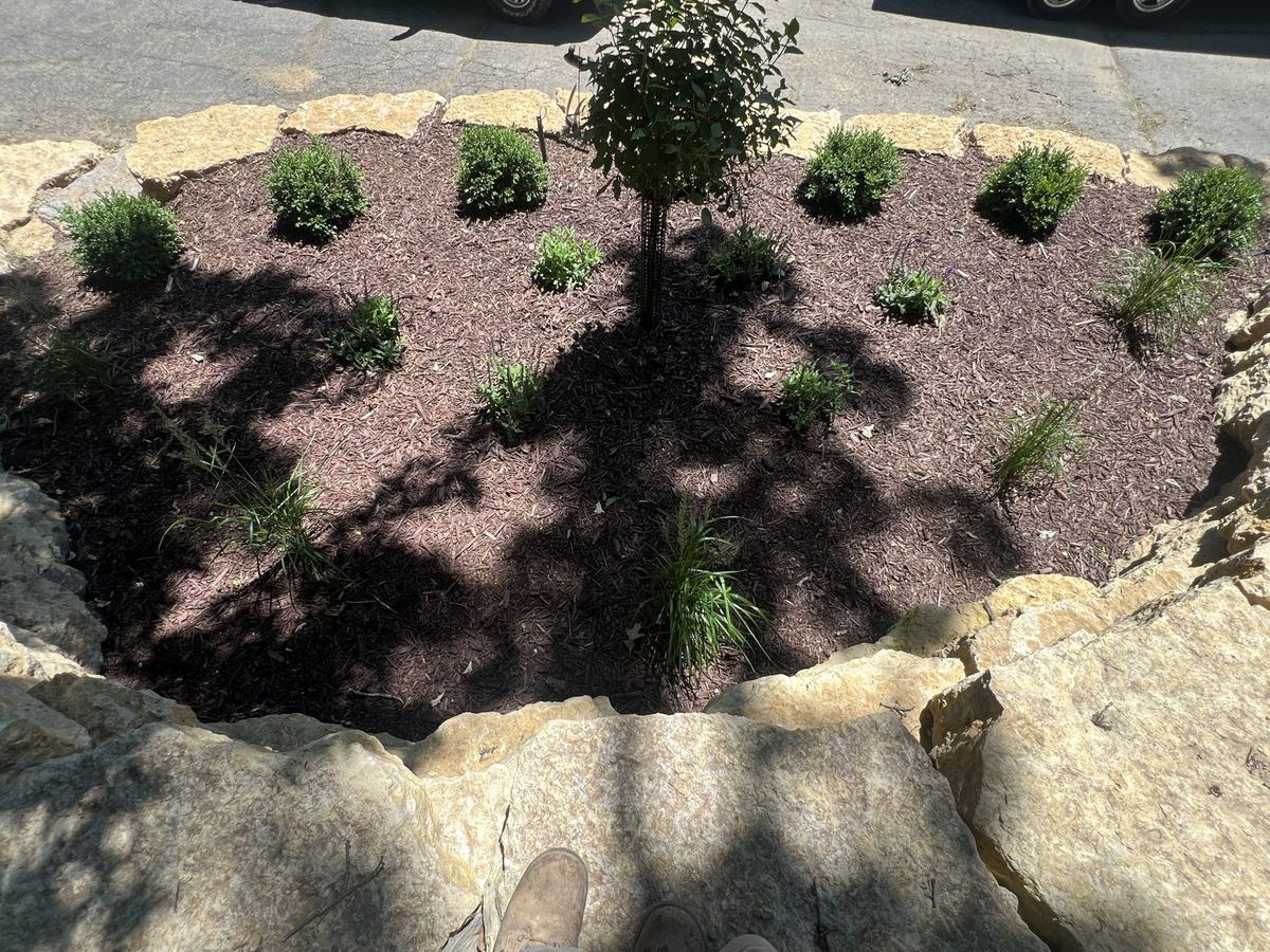 New View Landscaping job photo