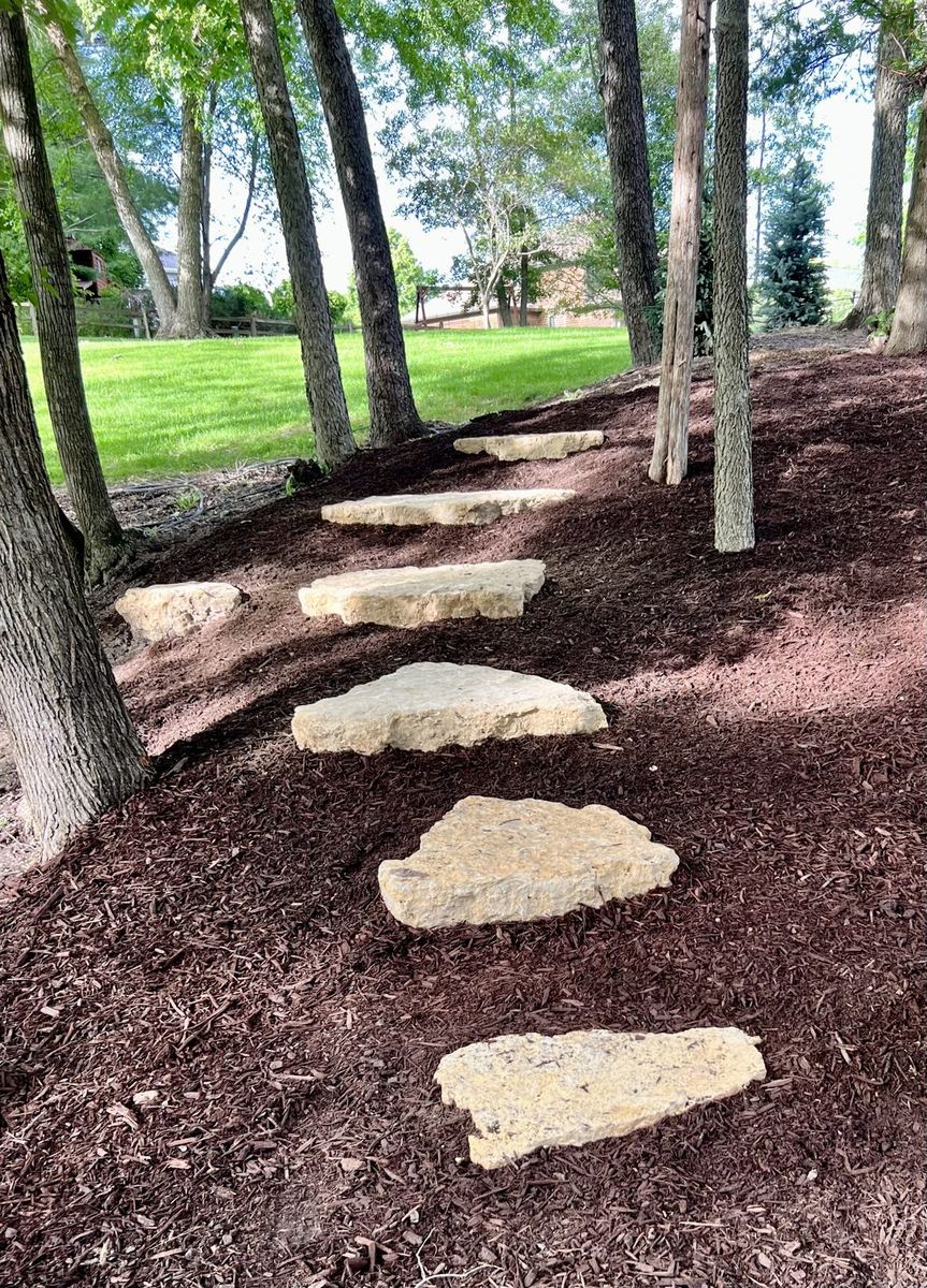 New View Landscaping job photo