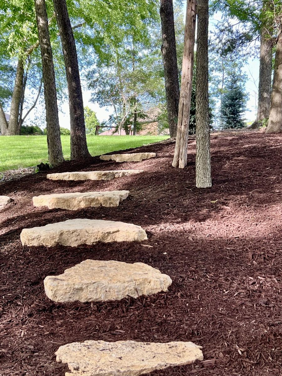 New View Landscaping job photo