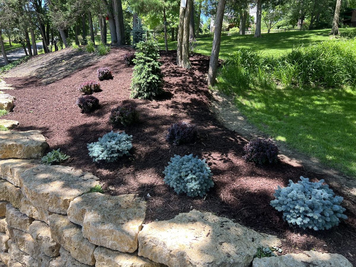 New View Landscaping job photo