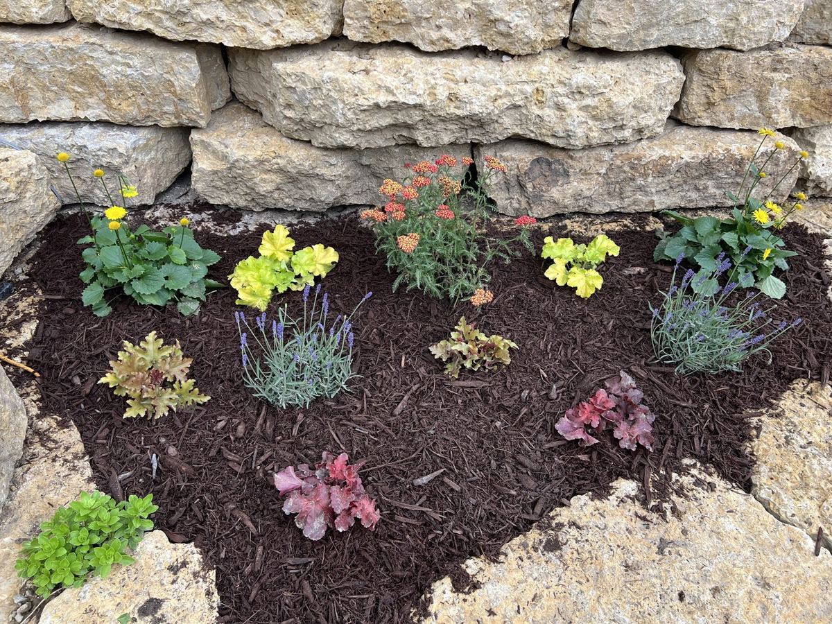 Landscape Design & Install