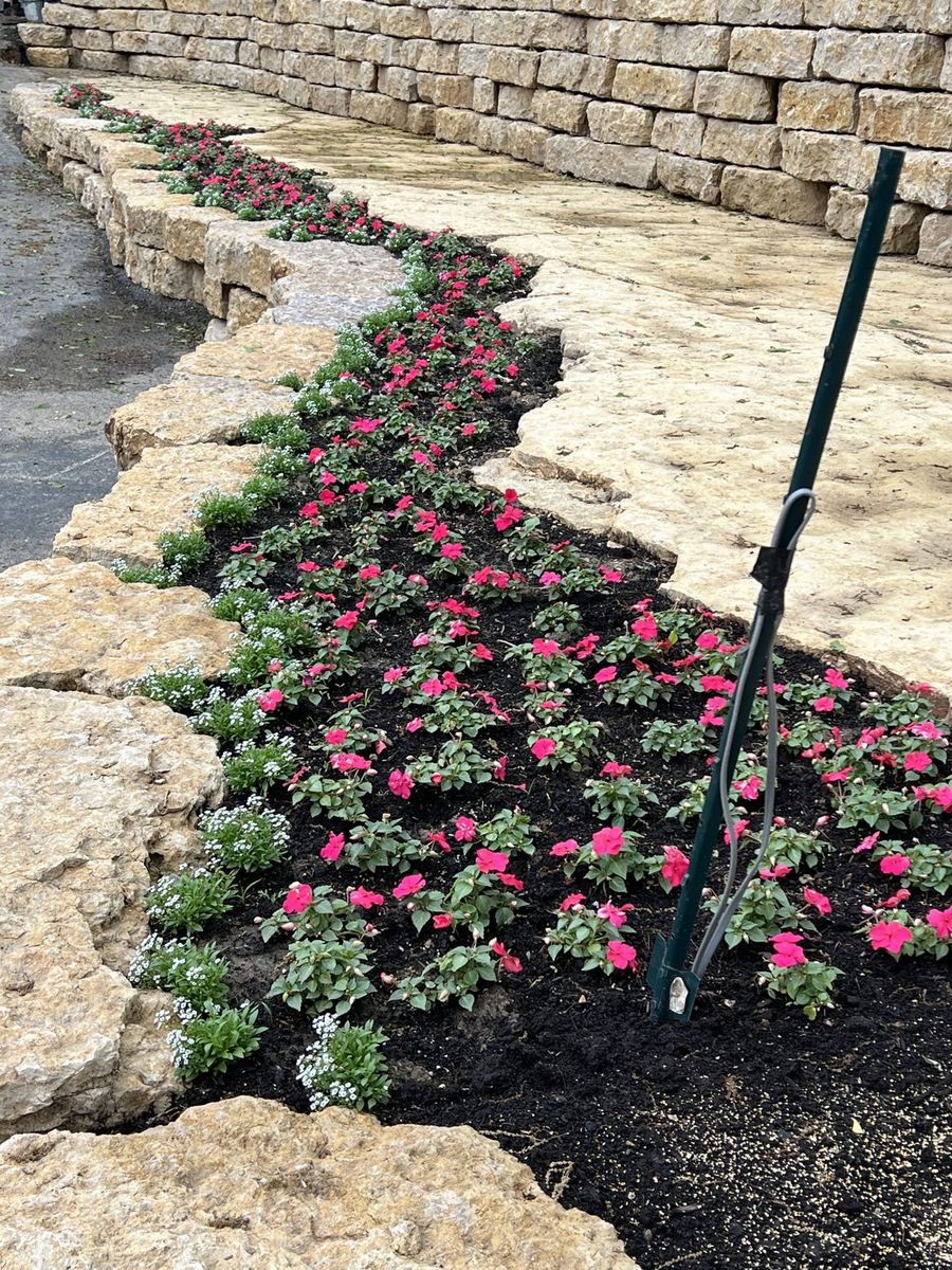 New View Landscaping job photo