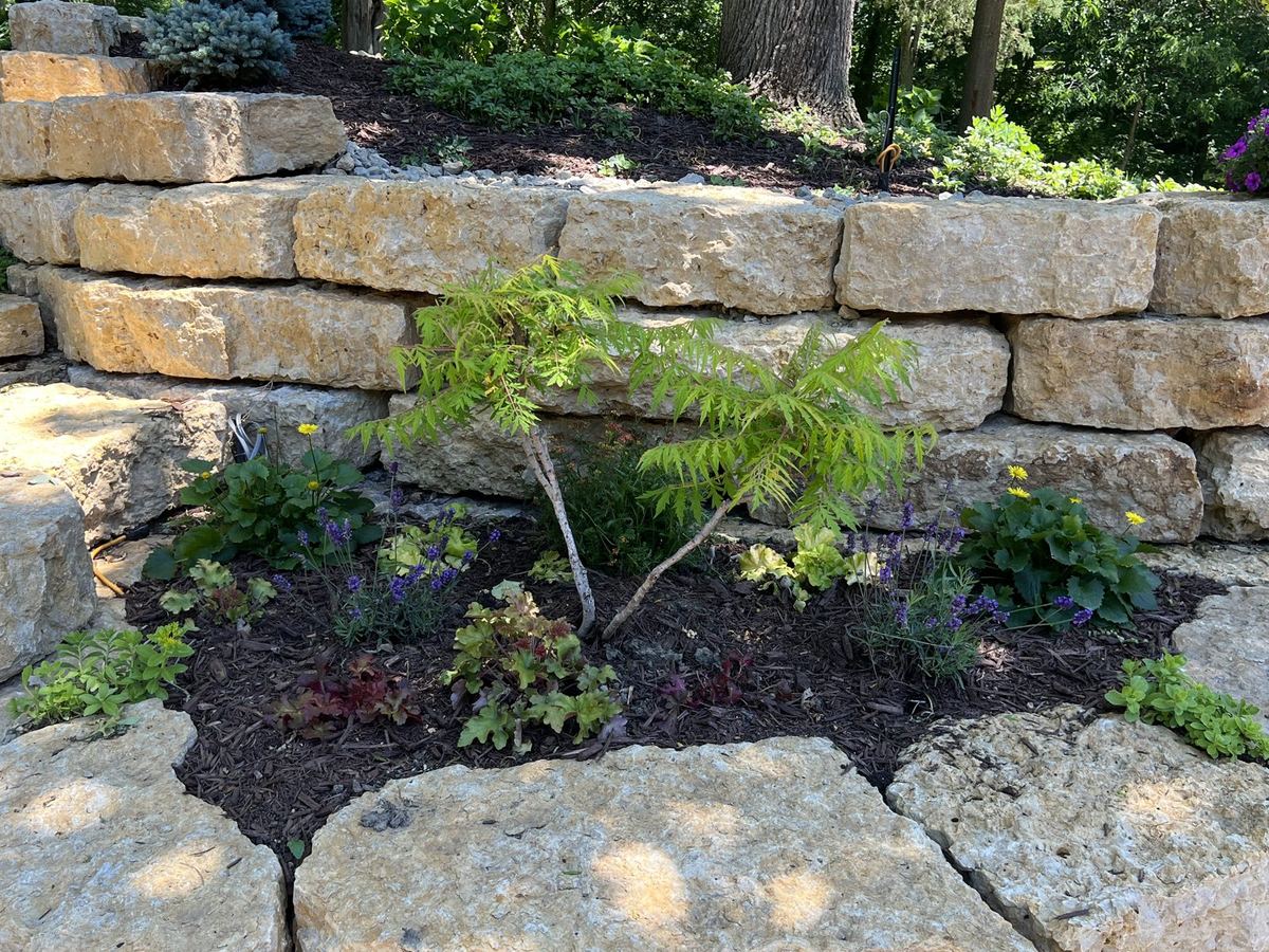 New View Landscaping job photo